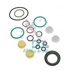 CMR151 Common Rail CP4 Repair Kit 2 Elements