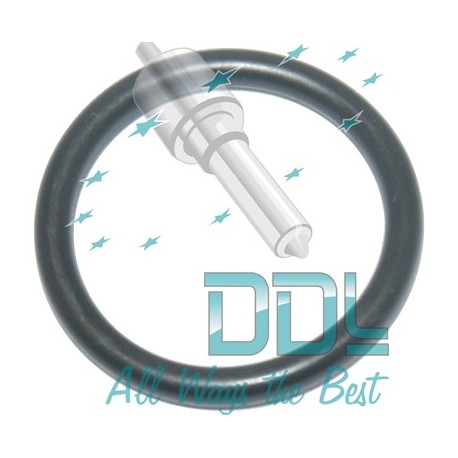 CMR243 Common Rail Denso Injector Body O Ring