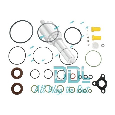 CMR600 Common Rail Bosch CP1H Gasket Kit