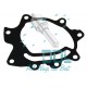 Tandem Pump Gasket