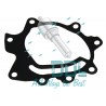 18D2031 Tandem Pump Gasket