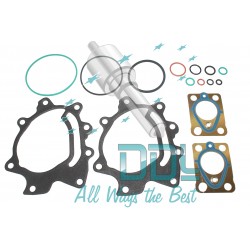 Seal Repair Kit DPF3 Delphi Pump