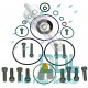 Common Rail Siemens Pump Repair Kit 5WS40836