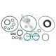 Common Rail Siemens Pump Repair Kit 5WS40273