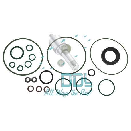 Common Rail Siemens Pump Repair Kit 5WS40273