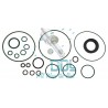 CMR751 Common Rail Siemens Pump Repair Kit 5WS40273