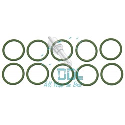 Common Rail Denso Injector Body O Ring