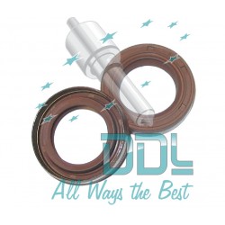 Common Rail Bosch CP3 Oil Seal Kit