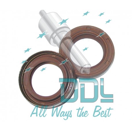 Common Rail Bosch CP3 Oil Seal Kit