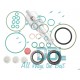 Common Rail Bosch CP3 Seal Kit