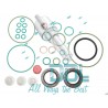 CMR311 Common Rail Bosch CP3 Seal Kit