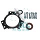 X39-800-300-001Z Genuine Common Rail Siemens Pump Repair Kit