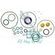 Common Rail Siemens Pump Repair Kit 5WS40254