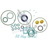 CMR5008 Common Rail Siemens Pump Repair Kit 5WS40254