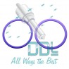 EUI102 Delphi 2 Pin Seal Kit 