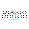 F00VC38041 Non Genuine Sealing Ring for Common Rail Bosch Injector 0445110049