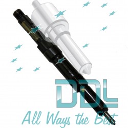 Common Rail Delphi Injector R00502Z