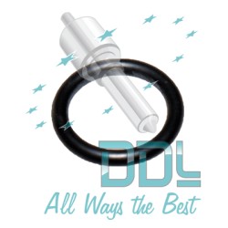 Sealing ring x10