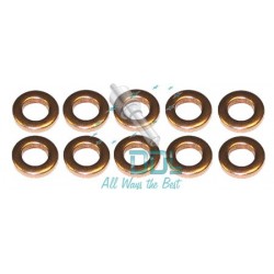 27D123 Injector Washer Audi A4/A6/Volkswagen