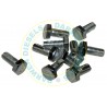 2433456034 Non Genuine Bleed Screw