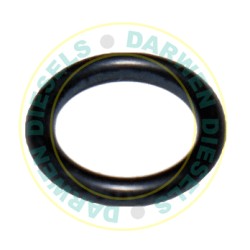 O RING