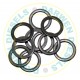 9007-391 DPC Delivery Valve Washer x10