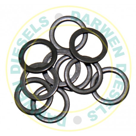 9007-391 DPC Delivery Valve Washer x10