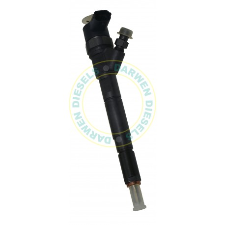 0445110063 Genuine Common Rail Bosch Injector