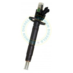 INJECTOR L.R.FREELANDER