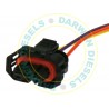 50D250-D-W Common Rail Electrical Connector with Wire