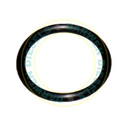 24341-000160 Genuine Yanmar O-Ring Side Cover