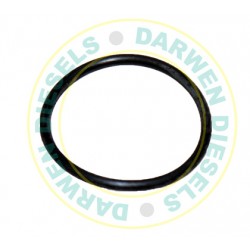 24341-000260 Genuine Yanmar O-Ring