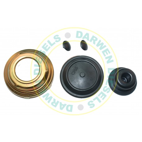 31D137 Diaphragm Kit Rotodiesel Filter Head