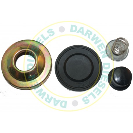 31D138L Purflux Filter Repair Kit & Button