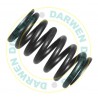 2414619010 Genuine Retaining Spring