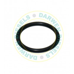 235-33 Non Genuine O-Ring