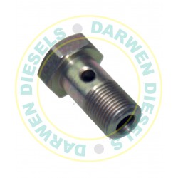 31D58C Banjo Bolt 12 x 1.0mm