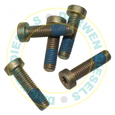 2413414023 Genuine Hex Socket Head Cap Screw