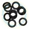 1460210008 Spaco VA/VE Sealing Ring