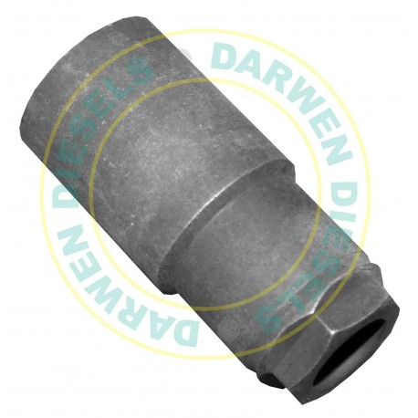 Common Rail Denso Nozzle Nut 