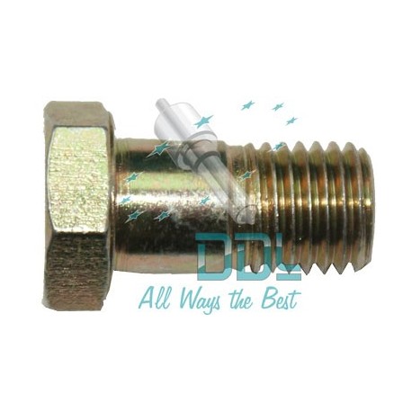 31D54 10mm x 1.25mm Pitch Banjo Bolt