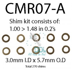Common Rail Armature Shim Kit
