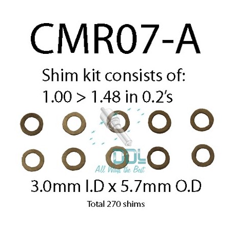 Common Rail Armature Shim Kit