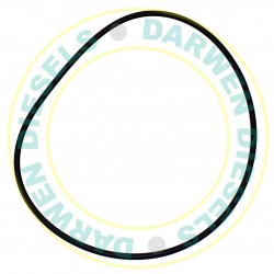 1410282015 Genuine Oil Seal