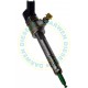 0445110019 Common Rail Bosch Injector