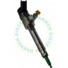 0445110019 Common Rail Bosch Injector