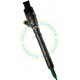 0445110064 Common Rail Bosch Injector 