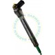 0445110072 Common Rail Bosch Injector