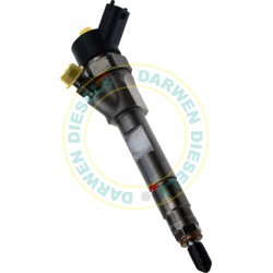 0445110110B Common Rail Bosch Injector