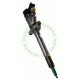 0445110136 Common Rail Bosch Injector 